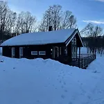 Aurora Woods *