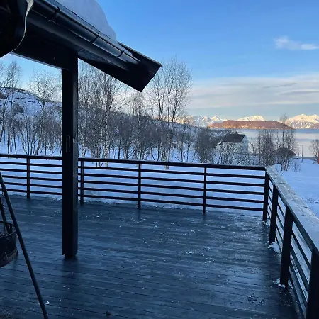 Aurora Woods Skjervoy